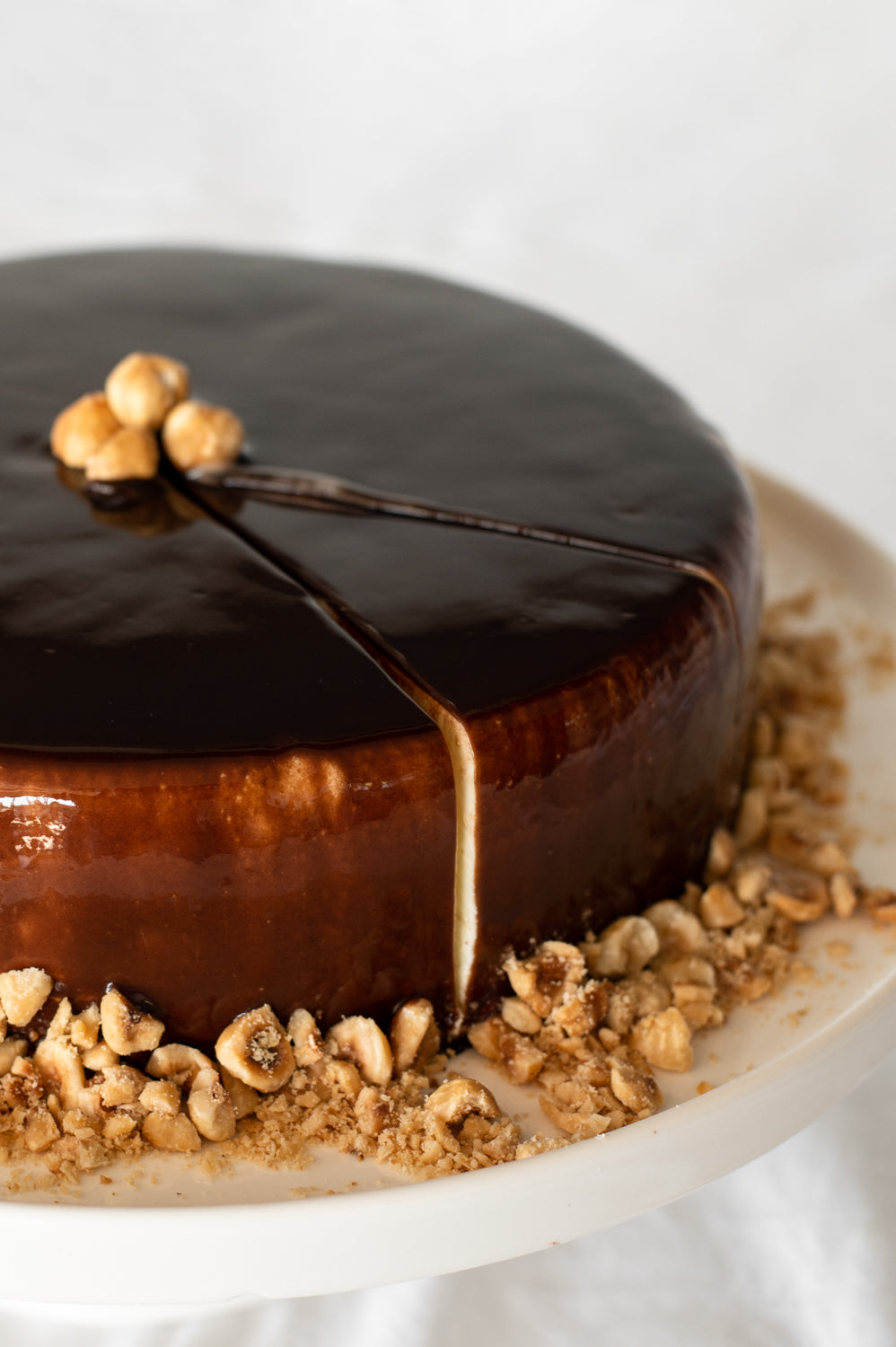 A close up of a chocolate hazelnut mousse cake that is garnished with hazelnuts